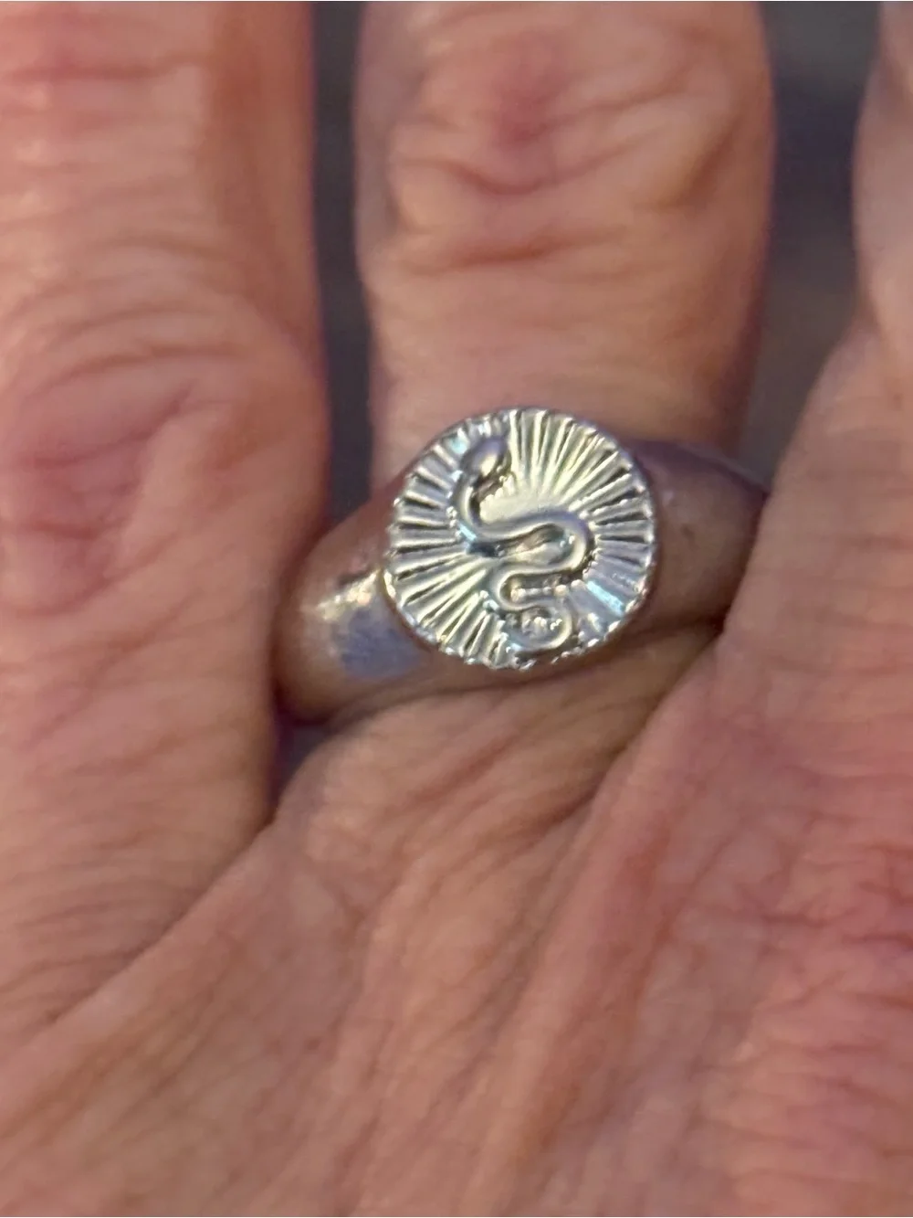 Silver tone snake signet ring